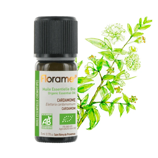 Aceite Esencial de Cardamomo